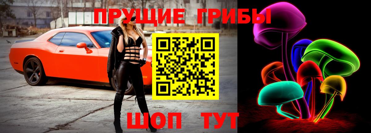 Псилоцибиновые грибы мицелий Куйбышев